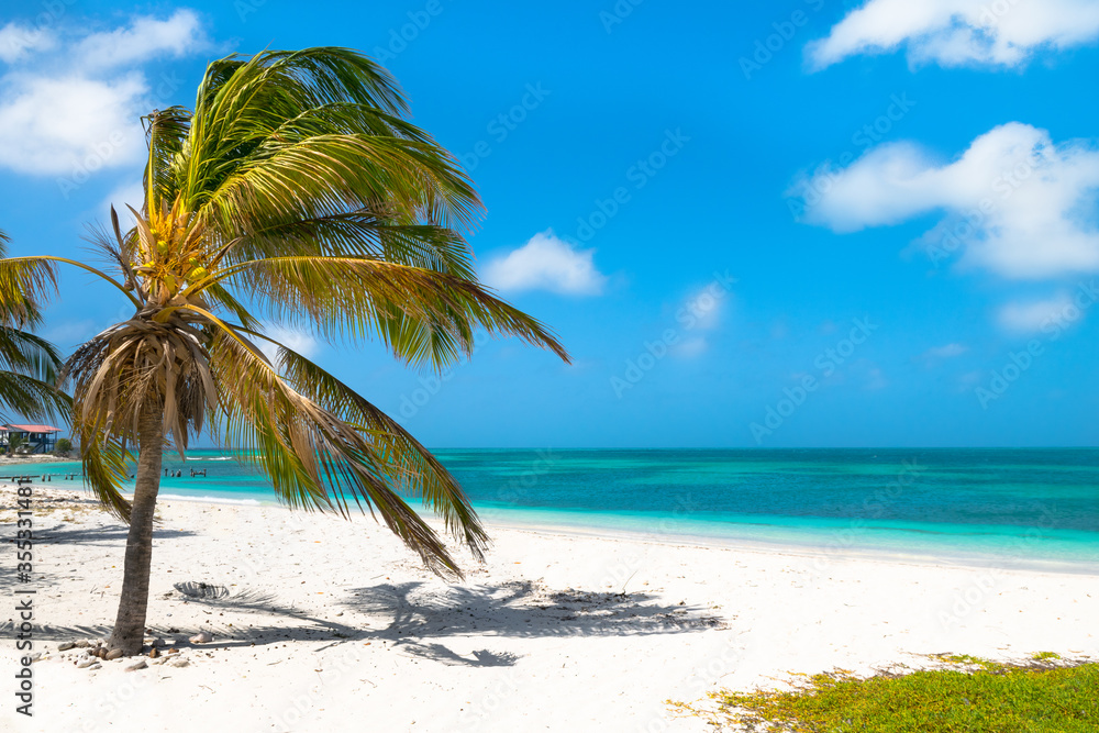 Obraz premium A beautiful day on the paradise beach in Dos Mosquises Island - Caribbean - Archipelago of Los Roques - Venezuela