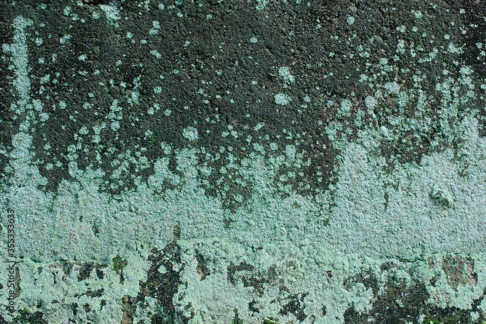 surface walls that are old, have rough contours, break, rust, peel and moss. can be used as wallpaper, with patterns that look natural and beautiful surface walls that are old, have rough contours, break, rust, peel and moss. can be used as wallpaper, with patterns that look natural and beautiful