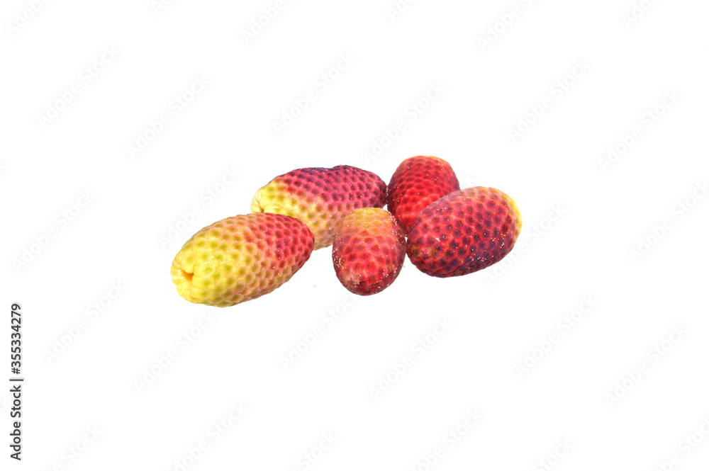 fir cone isolated on white background fir cone isolated on white background