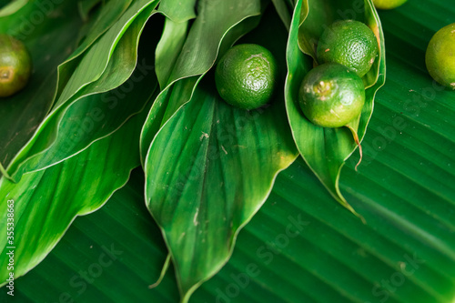 Asian food ingredients calamansi and tumeric leaves banana leaf background.