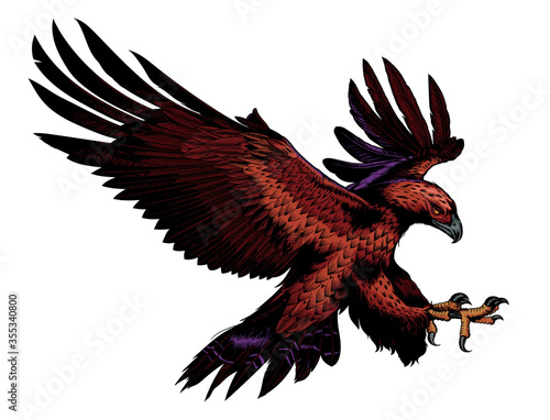 eagle flying