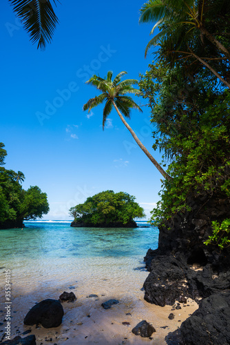 Tableau sur toile Crystal clear water and palm tree on a beach in tropical Samoa