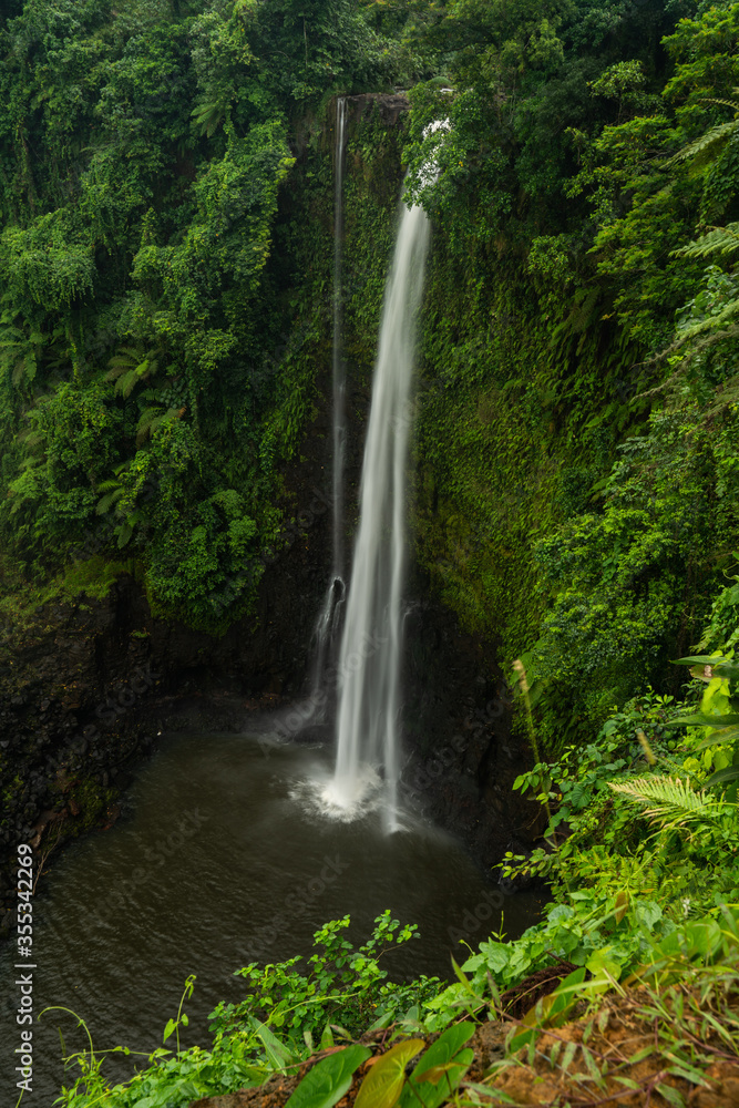Fuipisia Waterfall amongst the dense forest in Samoa