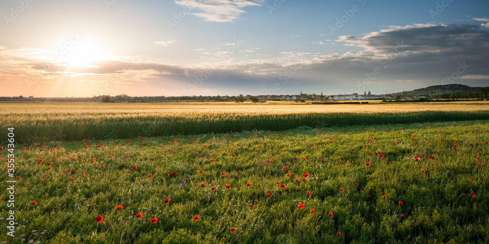 Sunrise with poppy field in front and village in Burgenland