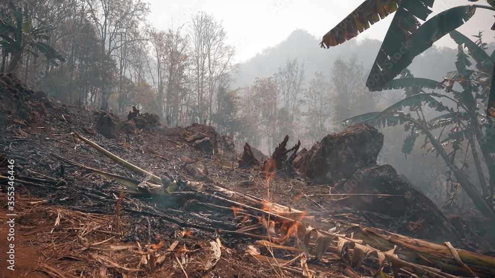 Global warming crisis. Slash and burn agriculture. Climate change, deforestation. Global warming crisis. Slash and burn agriculture. Climate change, deforestation.