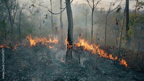 Fotografie The climate crisis