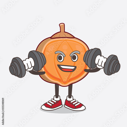 Quararibea Cordata cartoon mascot character on fitness exercise using barbells