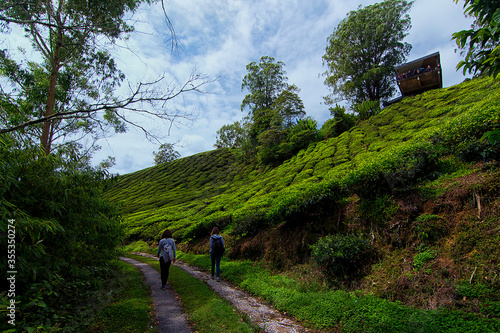 A pair of tourist travelling around a tea plantation