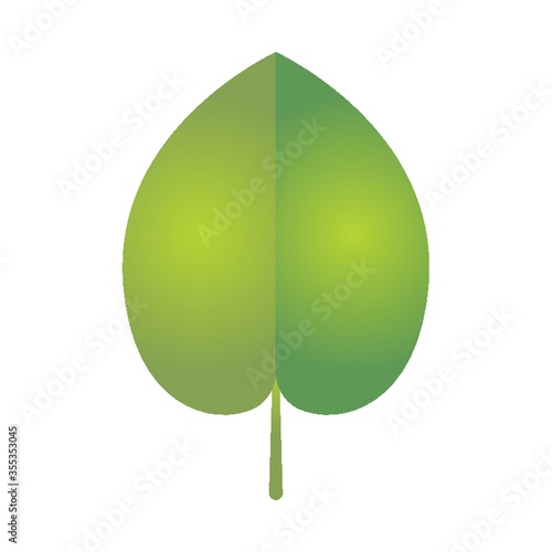Leaf