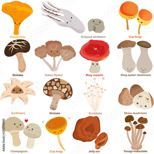 Cute vector of fungi mushroom with smily happy face - Chanterelle, stinkhorn, Cup, Shiitake, Indian Oyster, King oyster, Earthstars, Champignon, Jelly ear. Colorful set of doodle illustration on white
