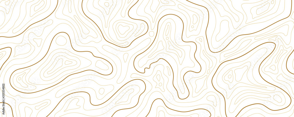 Fototapeta premium Abstract topographic map background Vector. 21:9 wallpaper design for fabric , packaging , web, geographic grid map vector illustration.