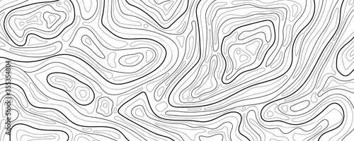 Abstract topographic map background Vector. 21:9 wallpaper design for fabric , packaging , web, geographic grid map vector illustration.