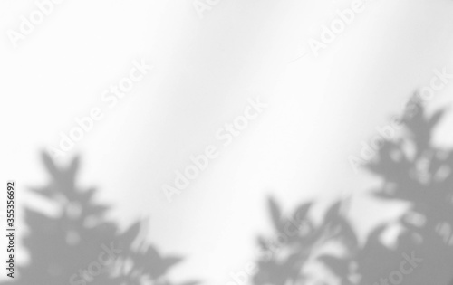 Gray shadow of leaf on white wall. Natural lighting  shadow overlay for photo  background and mock-ups  use for presentation.