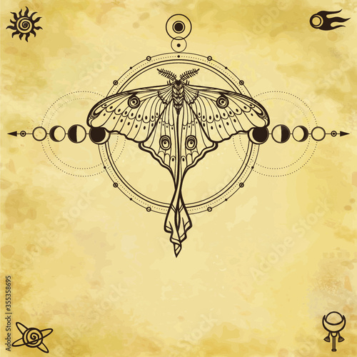 Mystical drawing: tropical butterfly, sacred geometry, moon phases, energy circles. Alchemy, magic, esoteric, occultism. Background - imitation of old paper. Vector Illustration.