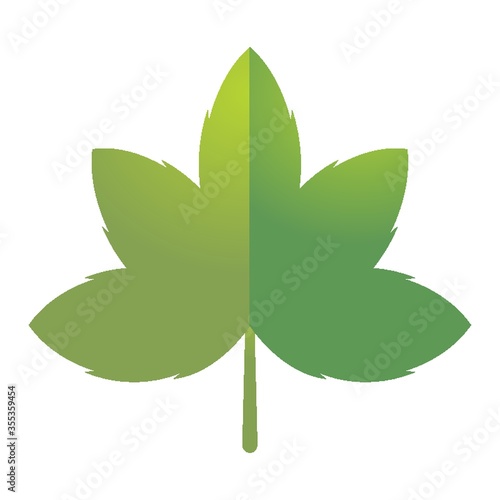 Leaf