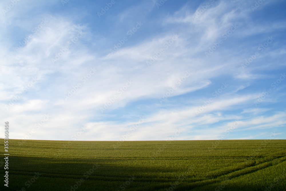 Horizont, endloses Feld, blauer Himmel