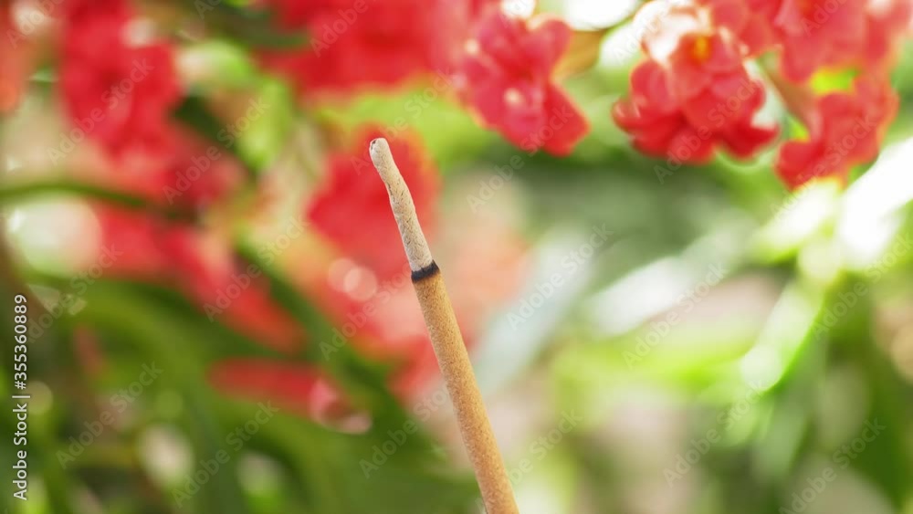 Aroma stick against the blooming Kalanchoe flower, taken with a macro lens in UHD Aroma stick against the blooming Kalanchoe flower, taken with a macro lens in UHD