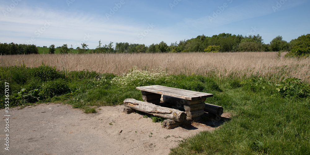 Fototapeta premium Old bench with grass behind it and blue sky
