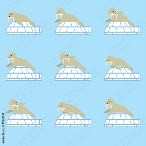 walrus with igloos background