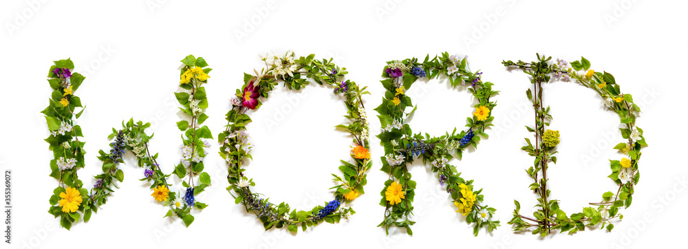 Flower, Branches And Blossom Letter Building English Word. White Isolated Background Flower, Branches And Blossom Letter Building English Word. White Isolated Background