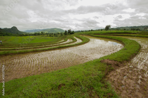 Myanmar  people working on fields between kalaw and inle lake