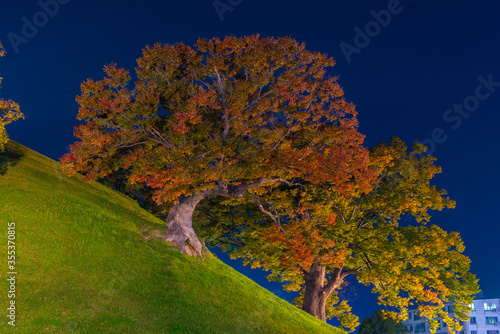 Night view of Seobongchong burial tombs in center of Gyeongju, Republic of Korea photo