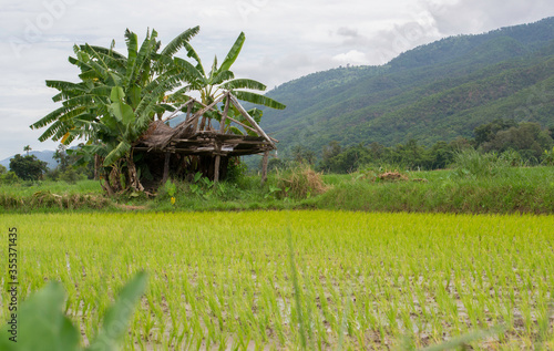 Inle lake It is the second largest lake in Myanmar.The watershed area for the lake lies to a large extent to the north and west of the lake.  photo