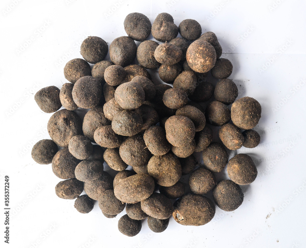 Puff Ball Mushrooms Thai food is expensive during the rainy season because it is delicious. Puff Ball Mushrooms Thai food is expensive during the rainy season because it is delicious.