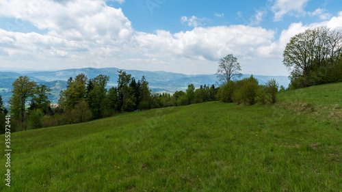 Fototapeta Naklejka Na Ścianę i Meble -  Mountain meadow with trees and hills on the background on Bahenec in Slezske Beskydy mountains in Czech republic