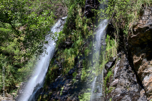 Río con cascada en un exhuberante bosque photo