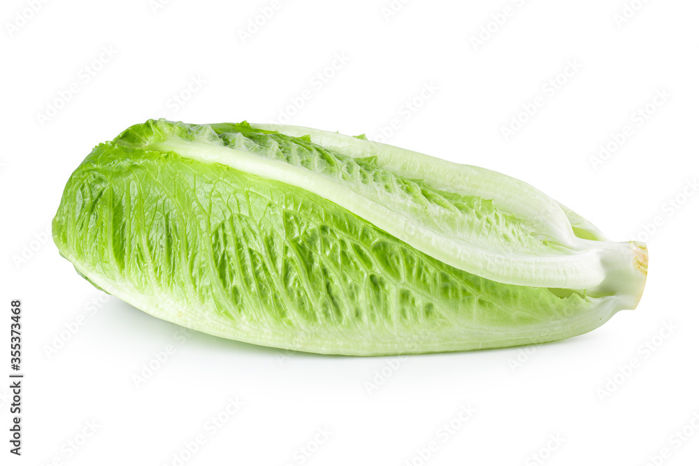 Cos lettuce isolated on a white background Cos lettuce isolated on a white background