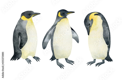 Watercolor Emperor penguin. Wild northern Antarctic animal. Cute grey bird.