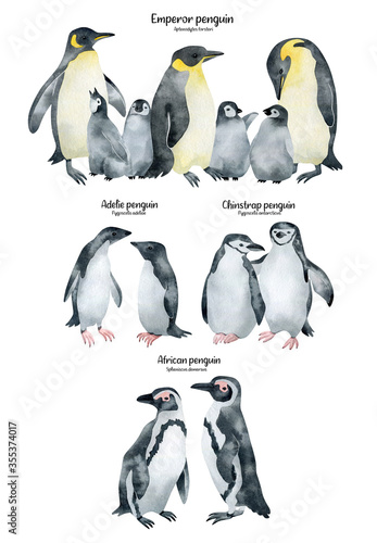 Photography Watercolor poster with penguins