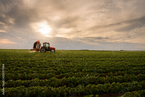 Tractor spraying soy field in sunset.