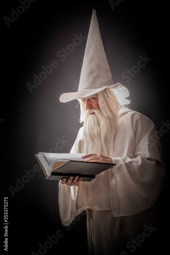 Obraz na płótnie Portrait of a manly and brutal, majestic, old man, sorcerer, wizard with gray ha