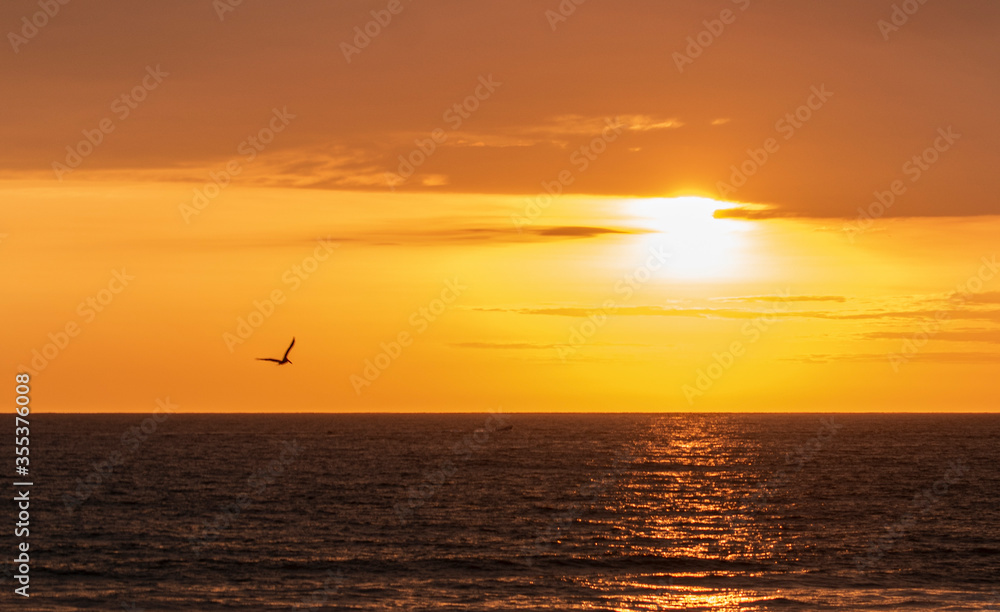 sunset on the sea