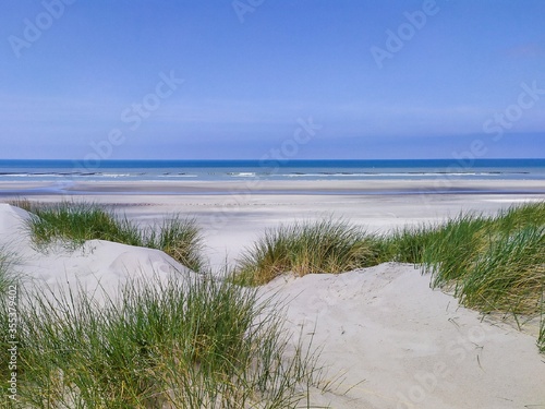 Fototapeta Naklejka Na Ścianę i Meble -  Plage du nord de la France. Dune de sable et herbe sauvage.
