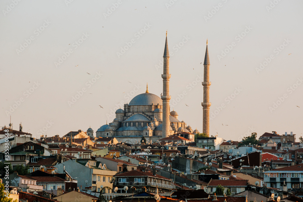Blue Mosque or Sultanahmet Camii in Istanbul, Turkey. Scenic view of the beautiful Blue Mosque in summer. Nice panorama of the famous historical mosque in the old center of Istanbul.