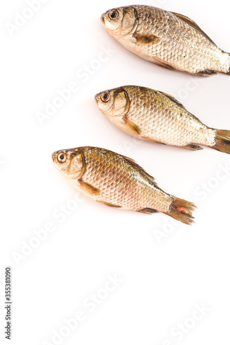 Fresh ingredients crucian carp © zevei