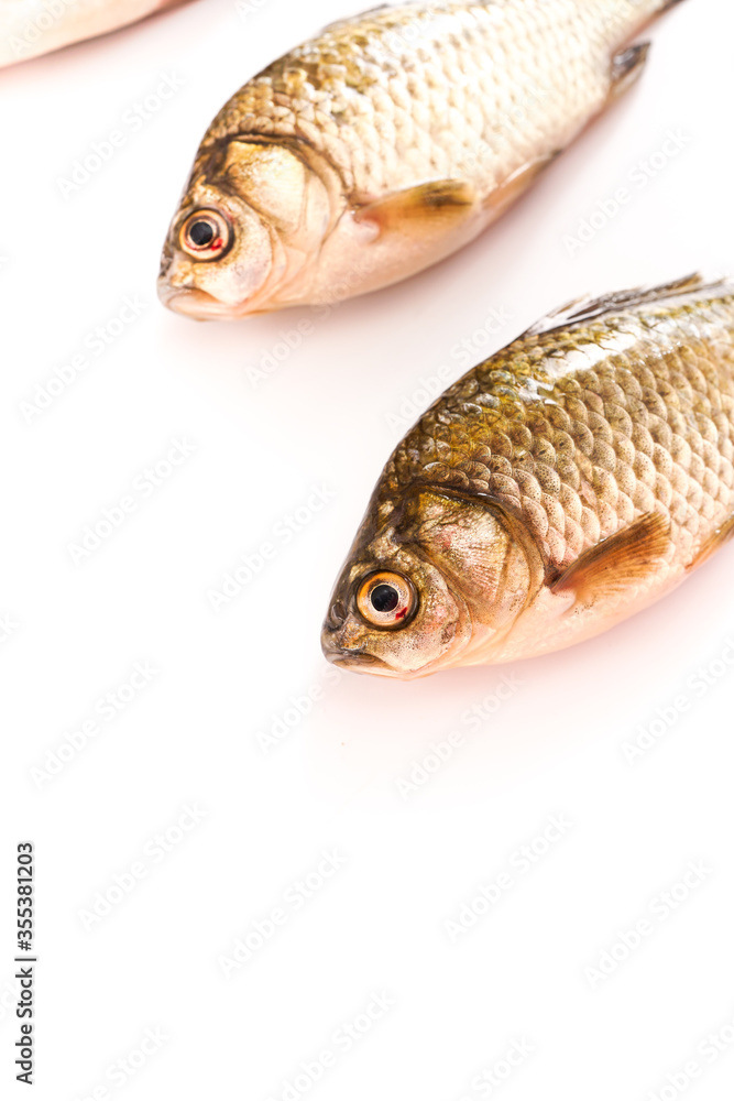 Fresh ingredients crucian carp Fresh ingredients crucian carp