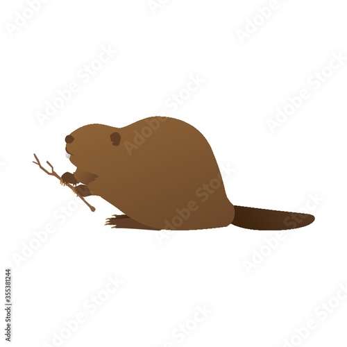 beaver