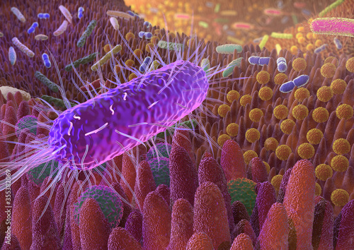 Darmflora_III_DIN_A3_Tiefenschärfe