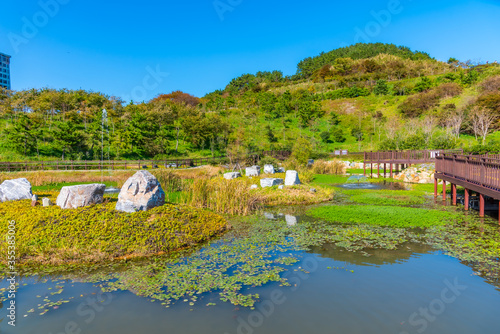 Park at Igidae at Busan, Republic of Korea photo