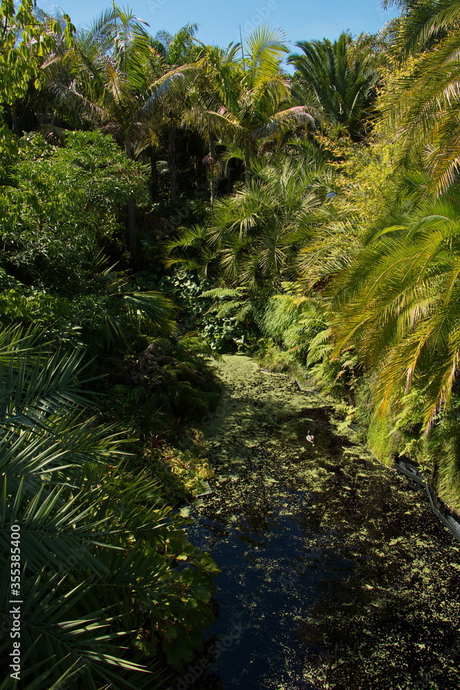 Tropical Garden in Hamilton Gardens,Waikato region on North Island of New Zealand
Tropical Garden in Hamilton Gardens,Waikato region on North Island of New Zealand