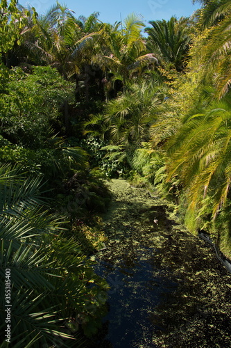 Tropical Garden in Hamilton Gardens,Waikato region on North Island of New Zealand 