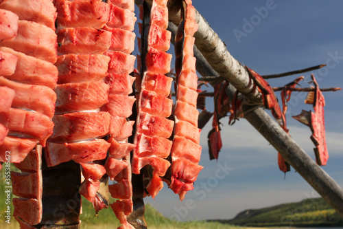 Yukon Territory, Alaska. Chum Salmon on a drying rack along the Porcupine River.