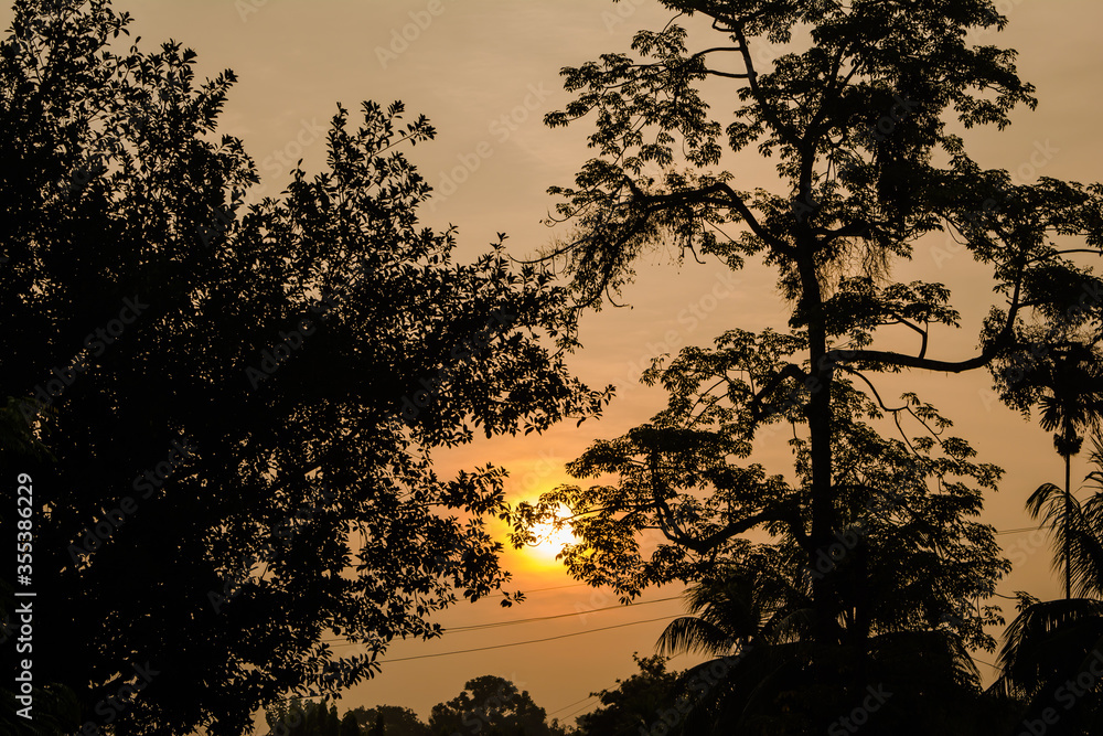 Fototapeta premium Evergreen rainforest mountains captured during an early foggy morning at Kaziranga National Park, Assam, Northeast, India. 
