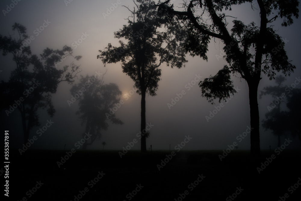 Evergreen rainforest mountains captured during an early foggy morning at Kaziranga National Park, Assam, Northeast, India.
