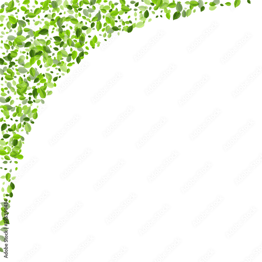 Grassy Leaf Fresh Vector Template. Motion Greens Grassy Leaf Fresh Vector Template. Motion Greens