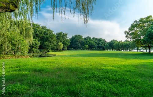 Fototapeta Naklejka Na Ścianę i Meble -  Green trees in the park